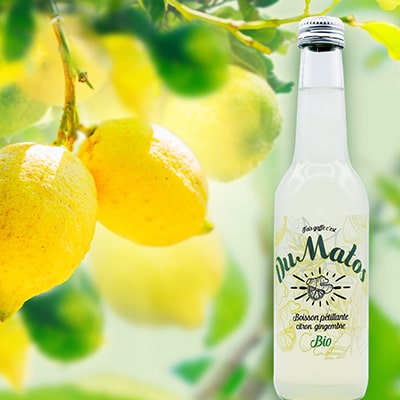 Projet design site web Dumatos