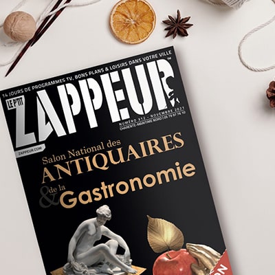 Projet réseaux sociaux Le P'tit Zappeur