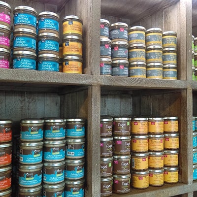 Projet création site vitrine Aux Délices de Landrais