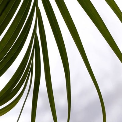 Projet développement site vitrine Pampa